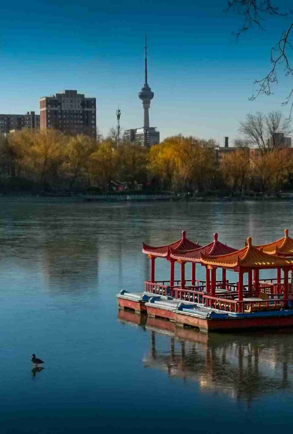 kaiyun体育网页版登录嗯嗯 照相嗯嗯 照相衣锦荣归园林中的树木-开云提款靠谱·最新「中国」官方网站