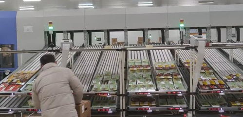 數智驅動,轉型有 力 食品工業智能物流解決方案