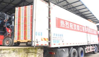 都江堰獼猴桃協會牽手物流快遞行業的 國家隊