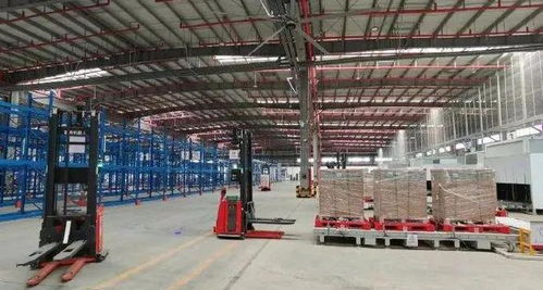 一帶一路 這十年 空中絲路 河南力量